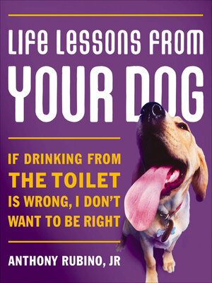 cover image of Life Lessons from Your Dog